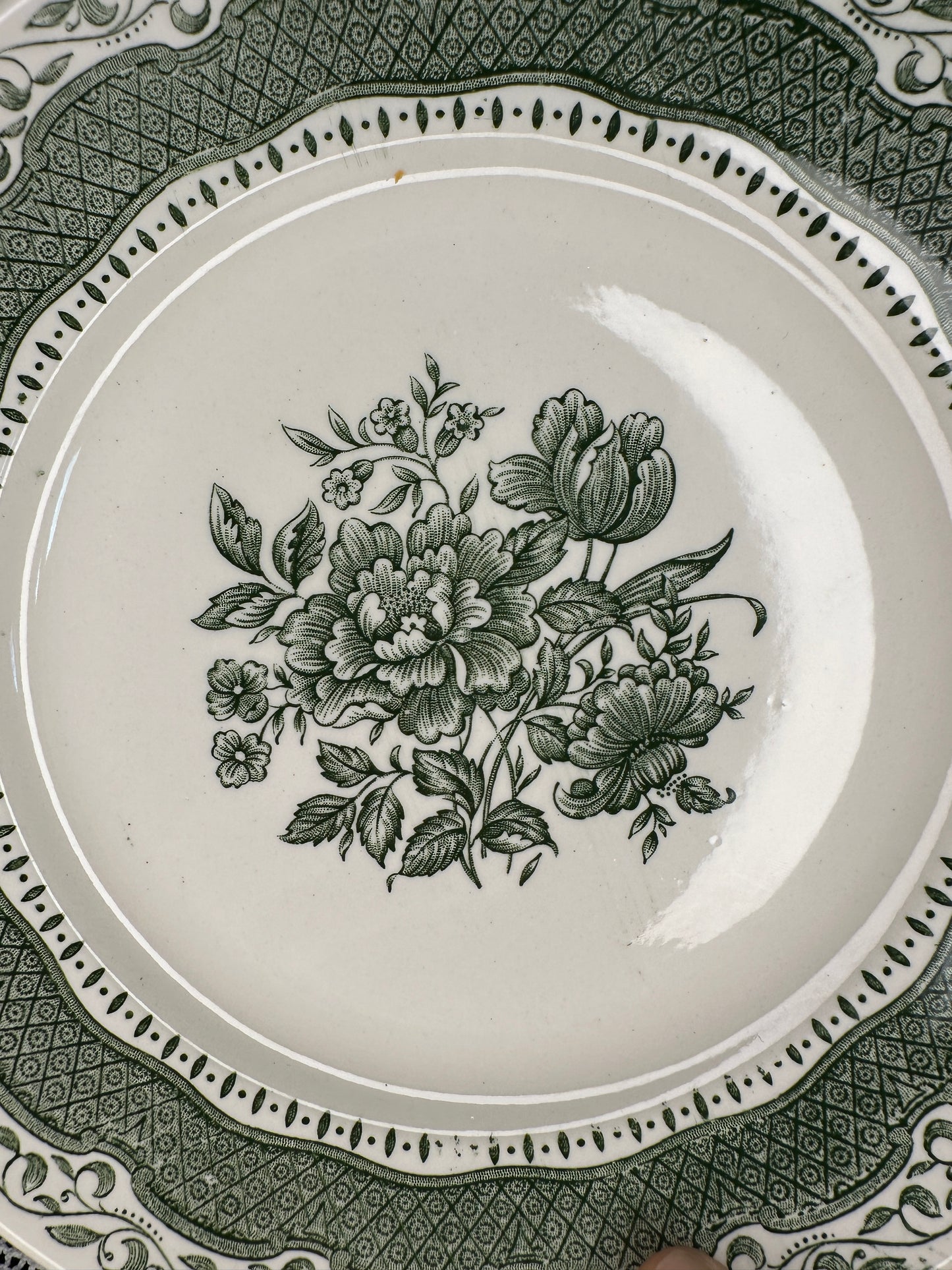 Vintage Staffordshire Ironstone Green Floral Dinner Plates – English Transferware, Set or Individual, Classic Cottage Tableware